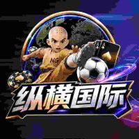 纵横国际